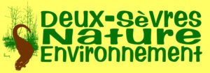 logo-ds-nature-environnement